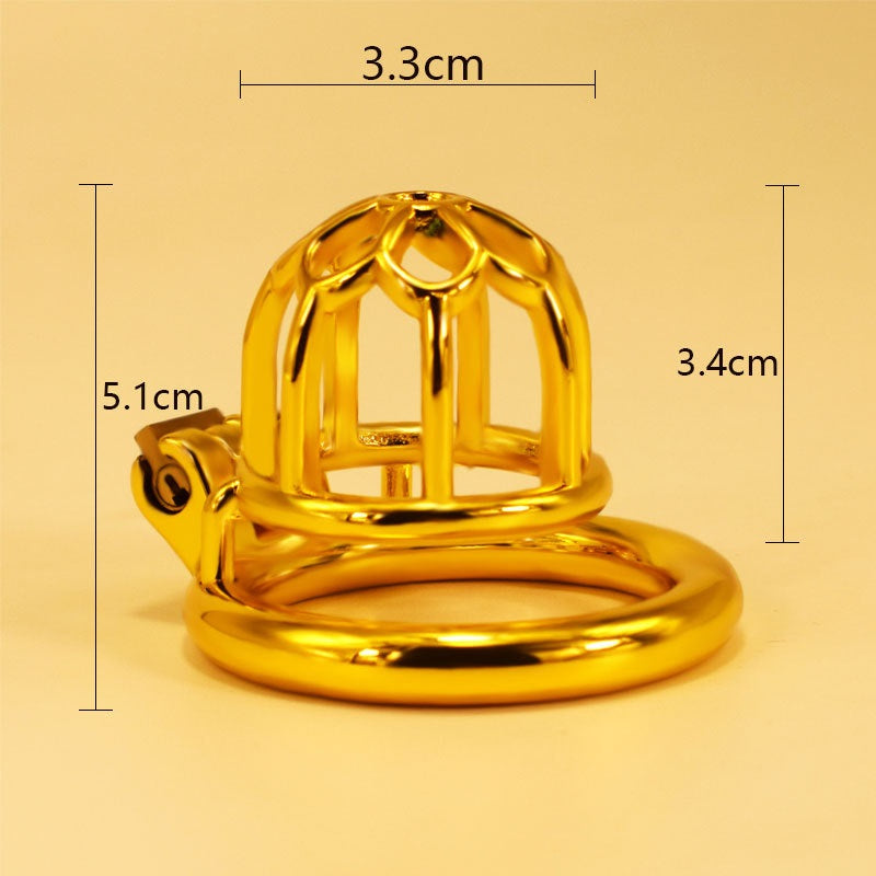 28 sets of men's golden metal chastity lock chasti