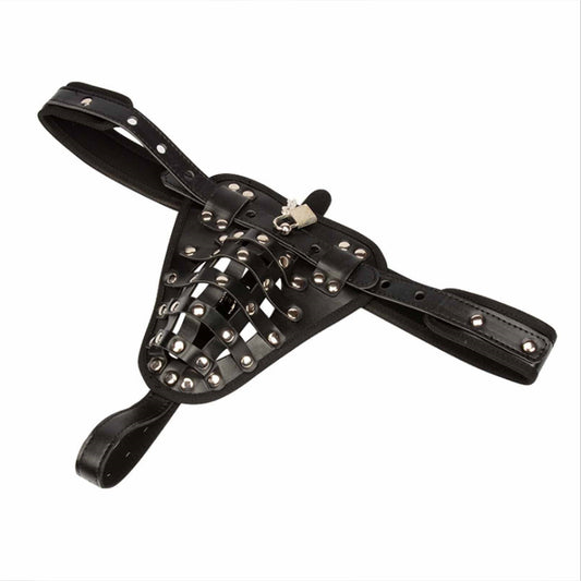 Female Chastity Belt Adjustable Stainless Steel Ch