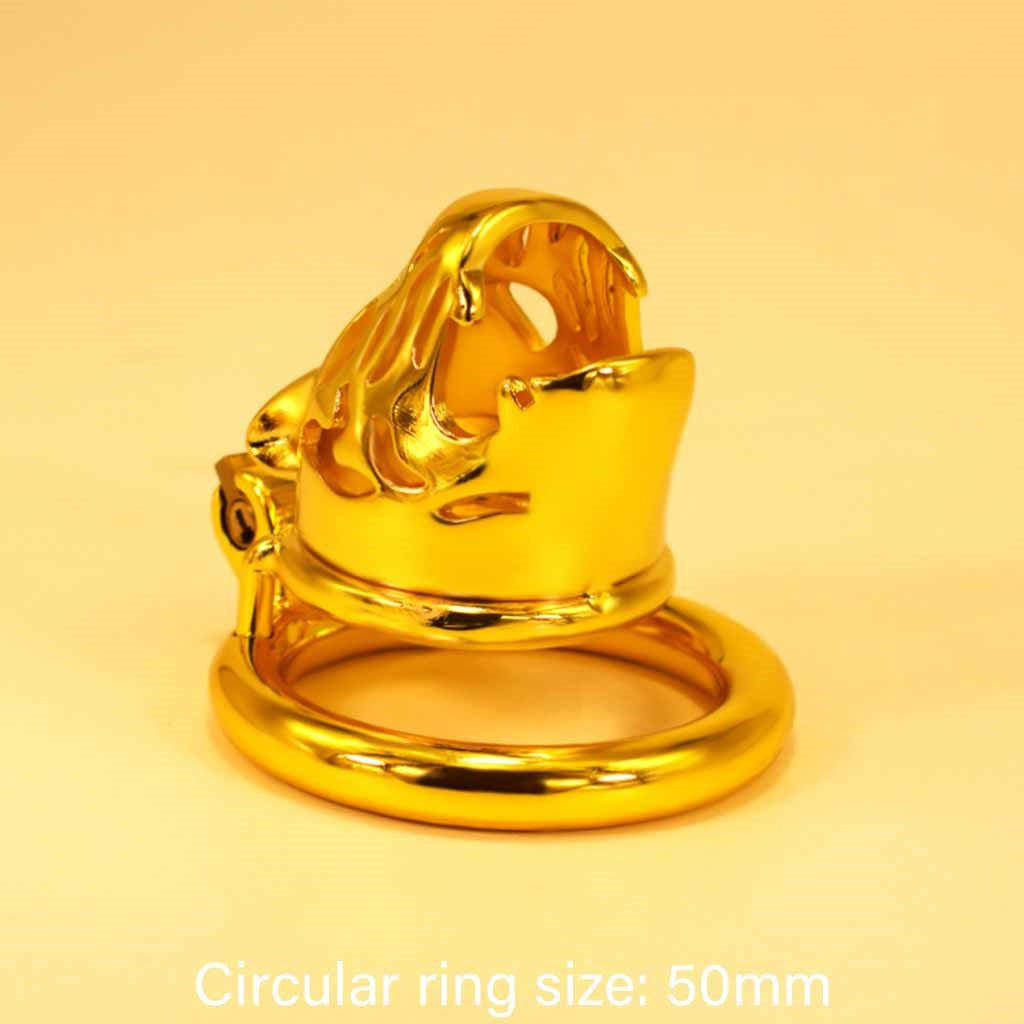 28 sets of men's golden metal chastity lock chasti