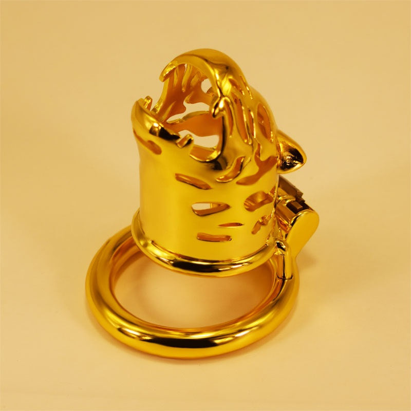 28 sets of men's golden metal chastity lock chasti