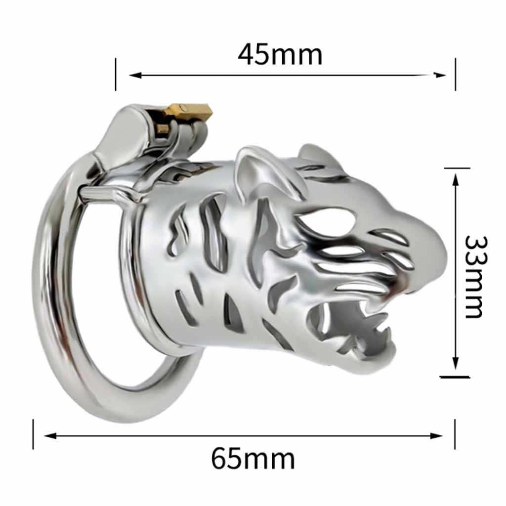 Male Cock Cage Chastity Device, Stainless Steel Ch