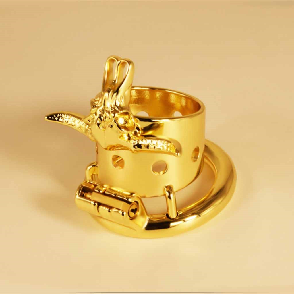 Gold Male Chastity Device Metal Cock Rings BDSM Pe