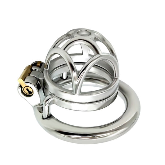 Stainless Steel Chastity Device  Belt Restraint Me