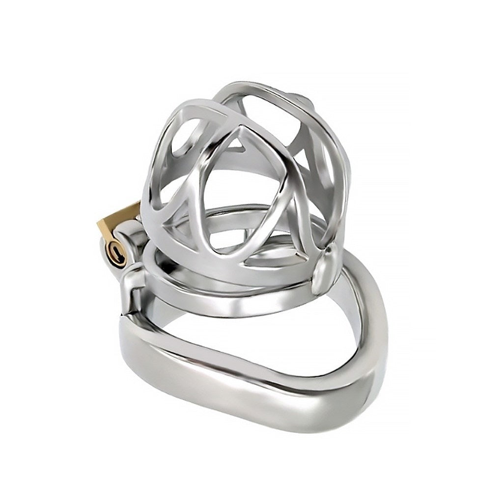 The New 304 Stainless-steel Master Slave Chastity 