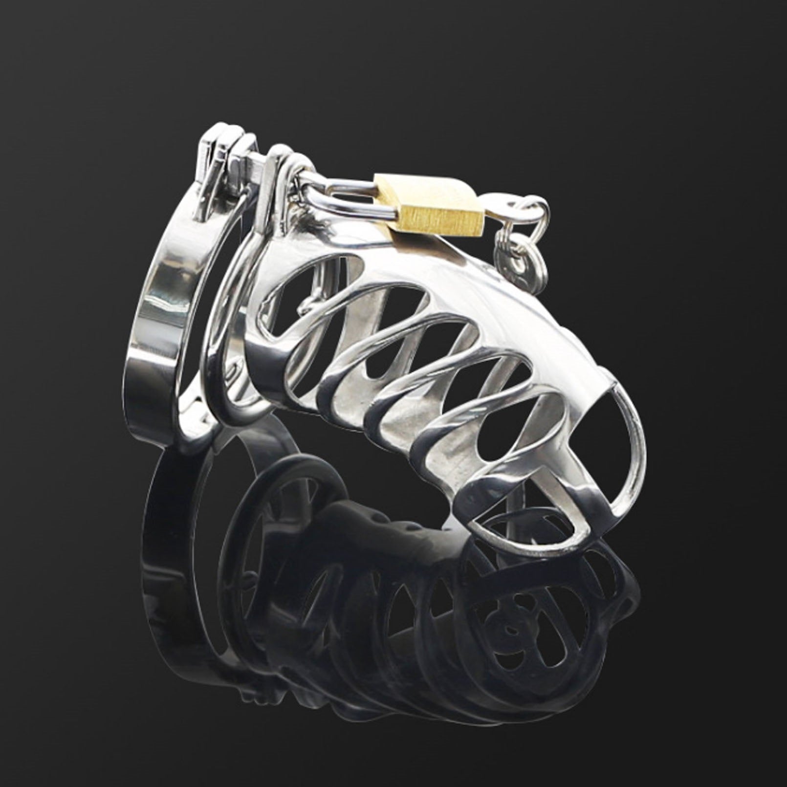 Metal Stainless-steel Cage Ring Device Belt Cage F