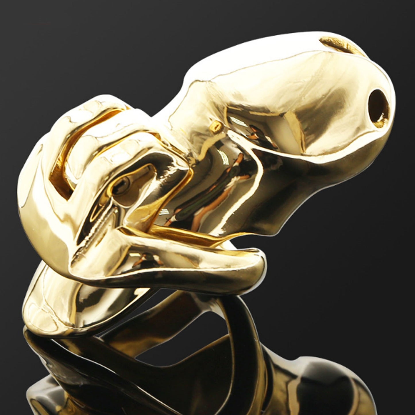 Gold Chastity Lock Chastity Device Penis Restraint