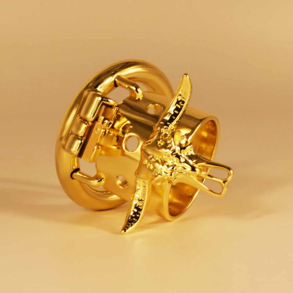 Gold Male Chastity Device Metal Cock Rings BDSM Pe