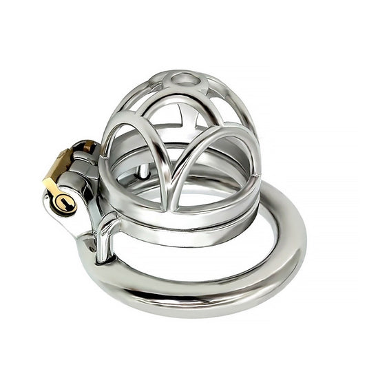 The New 304 Stainless-steel Master Slave Chastity 