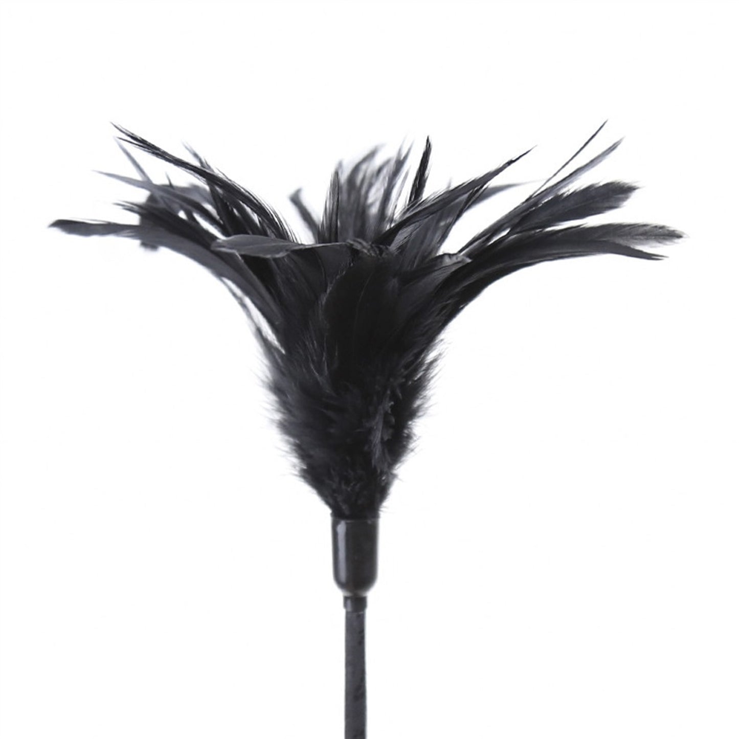 Black Feather Lace Tease Stick Horse Crop Stick Co