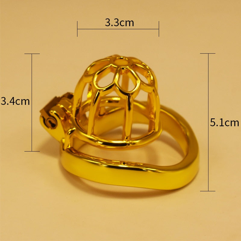 28 sets of men's golden metal chastity lock chasti