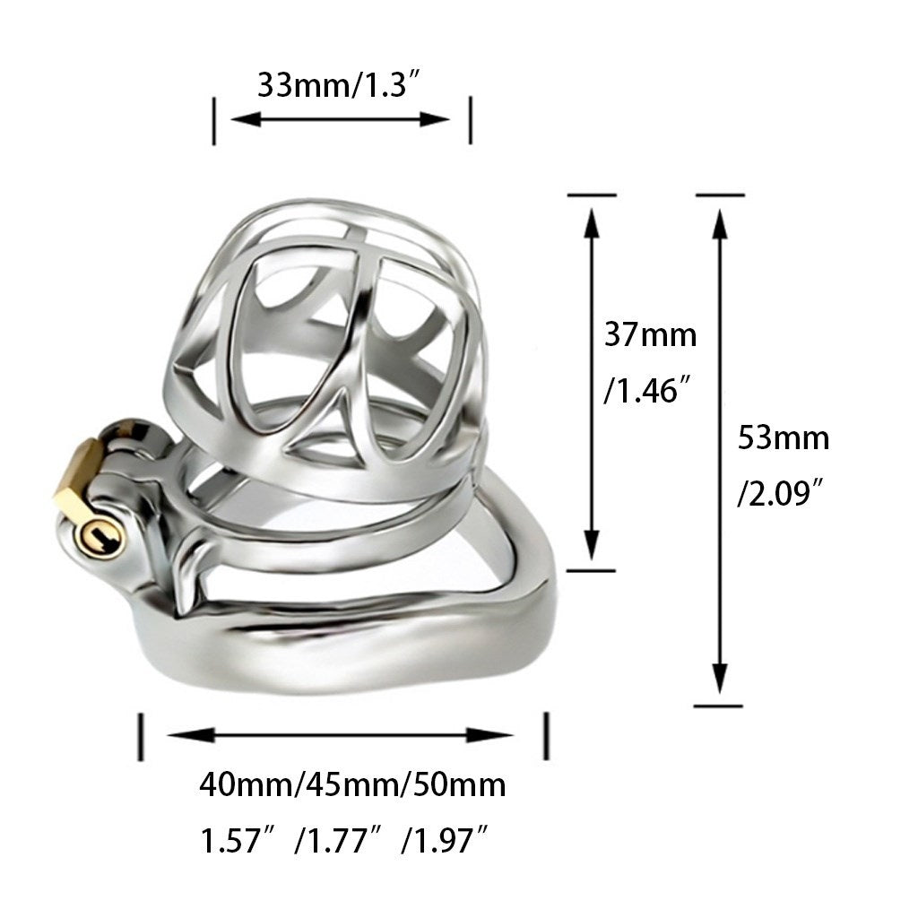 The New 304 Stainless-steel Master Slave Chastity 